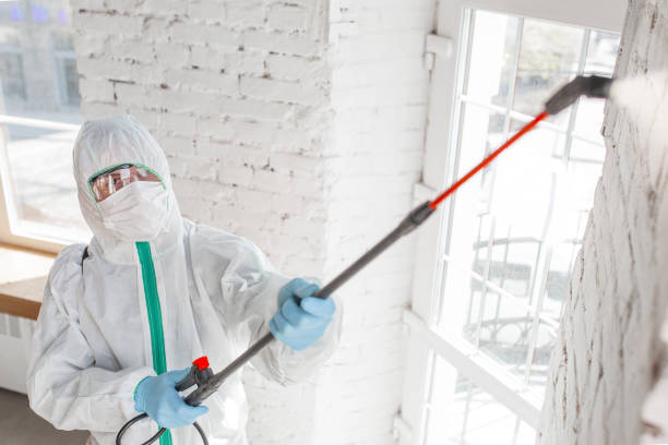 Mold Remediation for Rental Properties